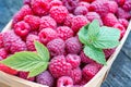 red raspberry basket with fresh fruit and leaves on wooden background