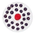 Red raspberry and blue bilberry in round plate