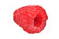 Red Raspberry Close Up