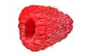 Red Raspberry Close Up