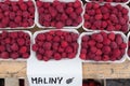 Fresh Red raspberry in farmers market