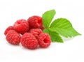 Red raspberry fruits isolated