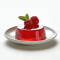 Red raspberry jelly dessert on a plate Royalty Free Stock Photo