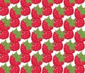 Red Raspberry pattern