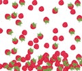 Red Raspberry pattern