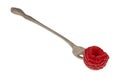 Red raspberry on a small fruit fork on a white background