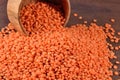 Red raw lentil in a bowl Royalty Free Stock Photo