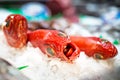 Red raw palometa fish opening the mouth on ice Royalty Free Stock Photo