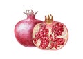 Red raw pomegranates watercolor illustration. Half cut and whole organic punica fruit close up hand draw high quality image. Royalty Free Stock Photo