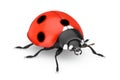 Red Realistic Beautiful Ladybird. 3d Rendering