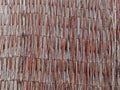 Red reed texture. Reed mat texture. Wall of the red reed stalks.