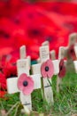 Red remembrance poppies on wooden crosses. Vertical with copyspace.