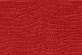 Red reptile skin. crocodile leather texture background Royalty Free Stock Photo