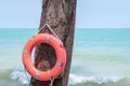 Red rescue lifebuoy hangs on a tree in front of open sea. Tropical destination, Thailand. Close up photo Royalty Free Stock Photo