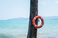 Red rescue lifebuoy hangs on a tree in front of open sea. Tropical destination, Thailand Royalty Free Stock Photo