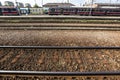 Red retro train at the Rzeszow Glowny railway station. June 2020