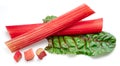 Red rhubarb stems\' cuts over rhubarb leaves isolated on white background Royalty Free Stock Photo