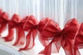 red ribbon bows on a frosted glass surface Royalty Free Stock Photo