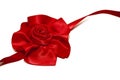 Red ribbon rose