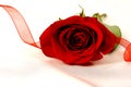 Red Ribbon Rose