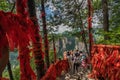 Red ribbons along trail in mountains in Zhangjiajie