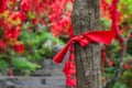 Red ribbons on pathway in Tianmenshan nature park - China Royalty Free Stock Photo