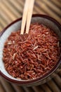 Red rice Royalty Free Stock Photo