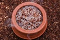 Red rice brown rice for porridge, Kanji, Kerala South Indian food