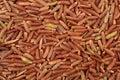 Red rice, grains closeup Royalty Free Stock Photo