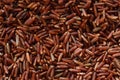 Red rice photo