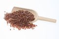 Red rice, a varity called Camargue rice Royalty Free Stock Photo