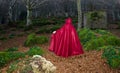Red riding hood in the dark forest