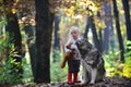 Red riding hood with wolf in fairy tale woods. Child play with husky and teddy bear on fresh air outdoor. Little girl Royalty Free Stock Photo