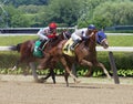 Red Right Hand & Jose Ortiz Victorious at Belmont Royalty Free Stock Photo