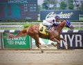 Red Right Hand winning easily at Belmont Park Royalty Free Stock Photo