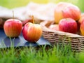 Red ripe apple in basket in autumn vibes. Royalty Free Stock Photo