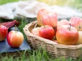 Red ripe apple in basket in autumn vibes. Royalty Free Stock Photo