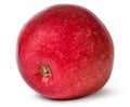 Red ripe apple bottom view Royalty Free Stock Photo