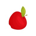 Red ripe apple close up. Vector illustration on white background. Royalty Free Stock Photo