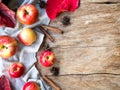 Red ripe apple fruit for autumn and fall food. Royalty Free Stock Photo