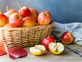 Red ripe apple fruit for autumn and fall food. Royalty Free Stock Photo