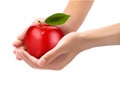 Red ripe apple in a hands. Concept of diet. Royalty Free Stock Photo