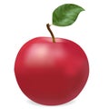 Red ripe apple photorealistic Royalty Free Stock Photo