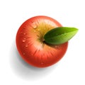 Red ripe apple Royalty Free Stock Photo