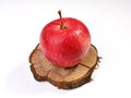 Red ripe apple with water drops on circle apple tree stump, isolated on white background Royalty Free Stock Photo