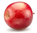Red ripe apple on white background, back bottom view. File contains clipping path