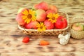 Red ripe apples and autumn flowers lie in a wicker plate on a wooden table. Wicker bast shoes and apples in basket Royalty Free Stock Photo