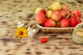 Red apples and autumn flowers lie in a wicker plate on a wooden table. Wicker bast shoes and apples in a basket. Healthy Royalty Free Stock Photo