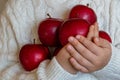 Red ripe apples in the hands of a child in a white knitted sweater Royalty Free Stock Photo