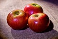 Red ripe apples with side lighting. on a wooden table